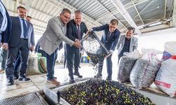 Urla’da zeytin ve sanat rüzgârı esecek!