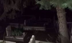 Ünlü iş insanının cansız bedeni babasının mezarı başında bulundu!