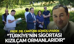 Prof. Dr. Cantürk Gümüş uyardı “Türkiye’nin sigortası kızılçam ormanlarıdır”