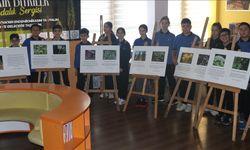 Yalova’da öğrenciler kentteki endemik bitkileri geleceğe taşımak için proje başlattı