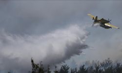 Yapay zeka orman yangınlarıyla mücadelede karar hızını artırıyor