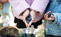 Seferihisar’dan örnek proje! Minikler topladı, ihtiyaç sahipleri alacak