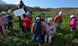 29 günde 100 bin fidan! Manisa’yı yeniden yeşertecek dev adım