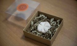 Bornova’nın 8 bin 500 yıllık hafızası tek projede buluştu