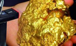 Altın arama dedektöründe en iyisi hangisi? 2026 karşılaştırma