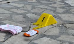 Tüy ürperten olay! 2 aylık bebeğini camdan attı