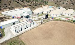 Arf Bio Yenilenebilir Enerji halka arzı ne zaman?