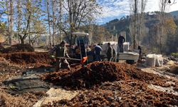 Asırlık kestane alıcıyla buluşuyor!