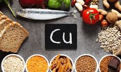 En çok bakır içeren besinler hangileri? 2026 güncel liste