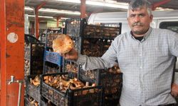 Doğadan gelen gelir! Kanlıca mantarı köylünün yüzünü güldürdü