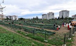 Bornova'da ücretsiz tarım alanlarına yoğun ilgi! Kent bostanları 3 yeni mahalleye daha yayılıyor!
