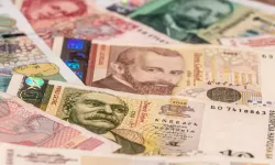 Döviz piyasasında değişiklik: TCMB o para birimini kaldırıyor!