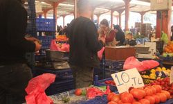 Kaz Dağları’nın lezzeti değer kaybetti: Son hasatta 10 TL’ye indi