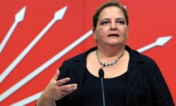 CHP MYK'da yer alan Bihlun Tamaylıgil kimdir, nereli?