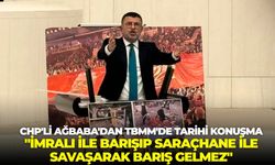 CHP'li Ağbaba'dan TBMM'de tarihi konuşma: "İmralı ile barışıp Saraçhane ile savaşarak barış gelmez"