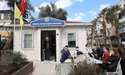 Buca'nın çınarlarını resmen 'Duman' etti!