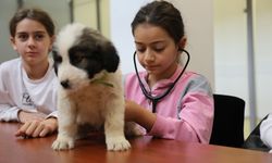 Çocuklar veterinerliğe adım attı