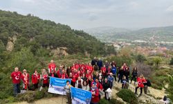 Dağ çilekleri eşliğinde keyifli yolculuk! TURBELDAK’la doğa buluşması