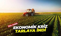 Ekonomik kriz tarlaya indi: Tarımda alarm zilleri çalıyor!