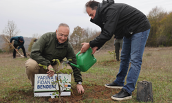 Bayramiç’te yangın sonrası ağaçlandırma çalışmaları başladı