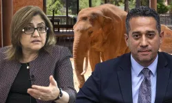 Fatma Şahin’den CHP’li Başarır’a yanıt: "Fil Gabi sağlıklı ve ziyarette"
