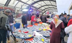 Nisan ayının en sağlıklı balıkları açıklandı! İstavrit ve hamsi artık satılmayacak