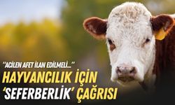 Hayvancılık için ‘seferberlik’ çağrısı: Acilen afet ilan edilmeli!