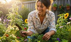 Hobi bahçıvanlarının “mini mucize” dediği tarif bitkileri adeta ayağa kaldırıyor