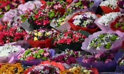 Sadakat testi için gönderilen isimsiz çiçek boşanmayı getirdi!