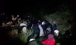 İzmir’de düzensiz göçle mücadele: Menderes ve Çeşme’de 79 göçmen yakalandı
