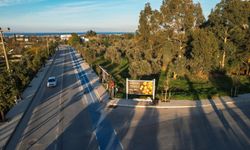 İzmir'de bu tezgahta kamera da yok görevli de: Parasını kutuya at, ürününü al!