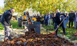 İzmir’de çiftçiye 2025 yılında yarım milyar liralık destek