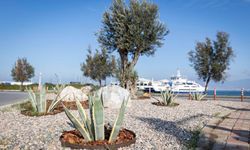 İzmir'de kuraklık alarmına karşı 80 futbol sahası büyüklüğünde ‘Su tasarruflu’ yeşil alan hamlesi!