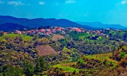 İzmir'de zeytinin ve üzümün kalbinde yükselen köy: Ekoturizmin yeni yıldızı