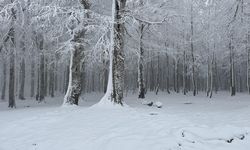 İçişleri Bakanlığı’ndan 22 il için uyarı: Kar kalınlığı 20 santimetreyi aşacak!
