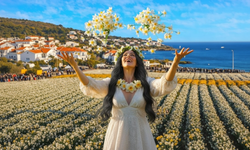 Karaburun'da kış efsanesi: Bu çiçeklerin hikayesi bin yıl önceden geliyor