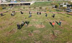 Zeytin fidanları Karşıyaka’ya nefes oldu!