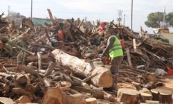 Kışın yükü hafifledi! Turgutlu’da yüzlerce haneye yakacak ulaştırıldı