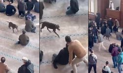 Kocaeli’de camiye giren pitbull cemaati korkuttu