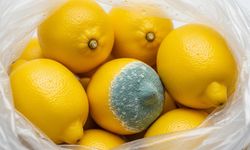 Limonu haftalarca taptaze tutmanın sırrı! Küfü unutturacak yöntemler