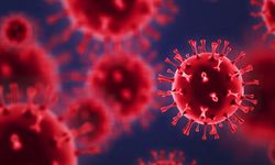 Maymun çiçeği alarmı! Yeni bir varyantı ortaya çıktı!