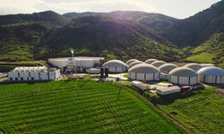 İzmir çıkışlı ARF Bio’dan yeşil enerji ve gübrede halka arz adımı