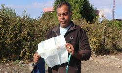 'Ölü' raporu verilmişti! Bebeğin yaşadığı mezarlıkta ortaya çıktı