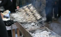 Üç il birden 'sakin şehirdeki' festivale akın etti!