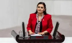 Noterler için kritik adım... Yeşil pasaport TBMM gündeminde