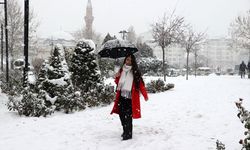 Tam 23 il beyaz örtü ile kaplanacak! Meteoroloji uzmanı Özdemir açıkladı: Yılbaşında kar yağışı olacak mı?