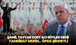 AK Partili Şamil Tayyar günah çıkardı: Cumhurbaşkanlığı sisteminde devlet ve toplum hayatının balansı bozuldu!