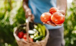 Yerli malı haftası ne zaman 2025? Okula ne götürülür?