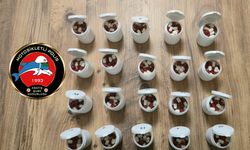 İzmir’de bir haftada büyük temizlik! 57 tutuklama