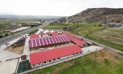 Aliapark Atla Terapi Merkezi yenilenen yüzüyle açıldı